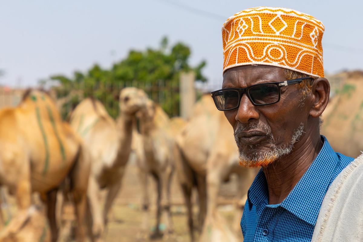 2019-08-05t000000z_1900379510_mt1hnslcs00080fx29_rtrmadp_3_hans-lucas-scaled