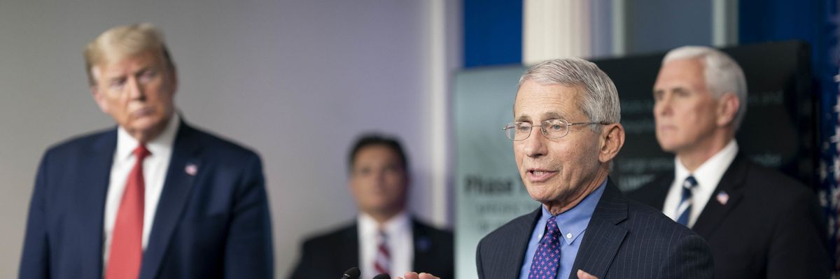 49784743606_91e1de4aab_o-scaled