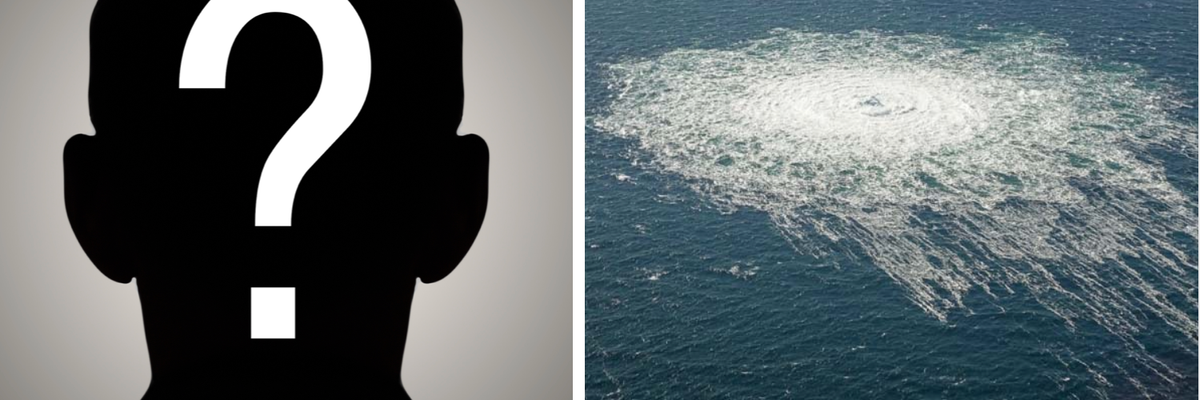 One year later, why is the Nord Stream attack still a mystery?