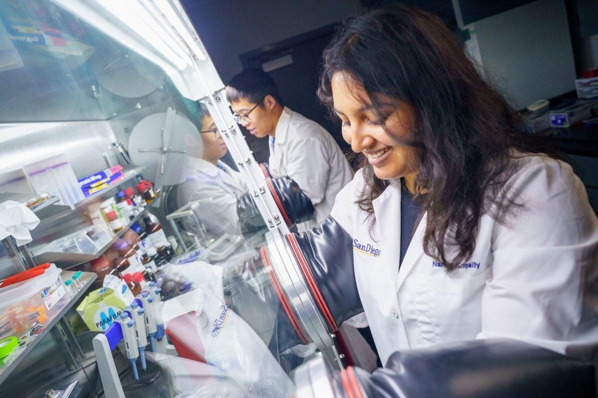 American universities science