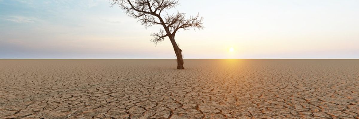 Dry