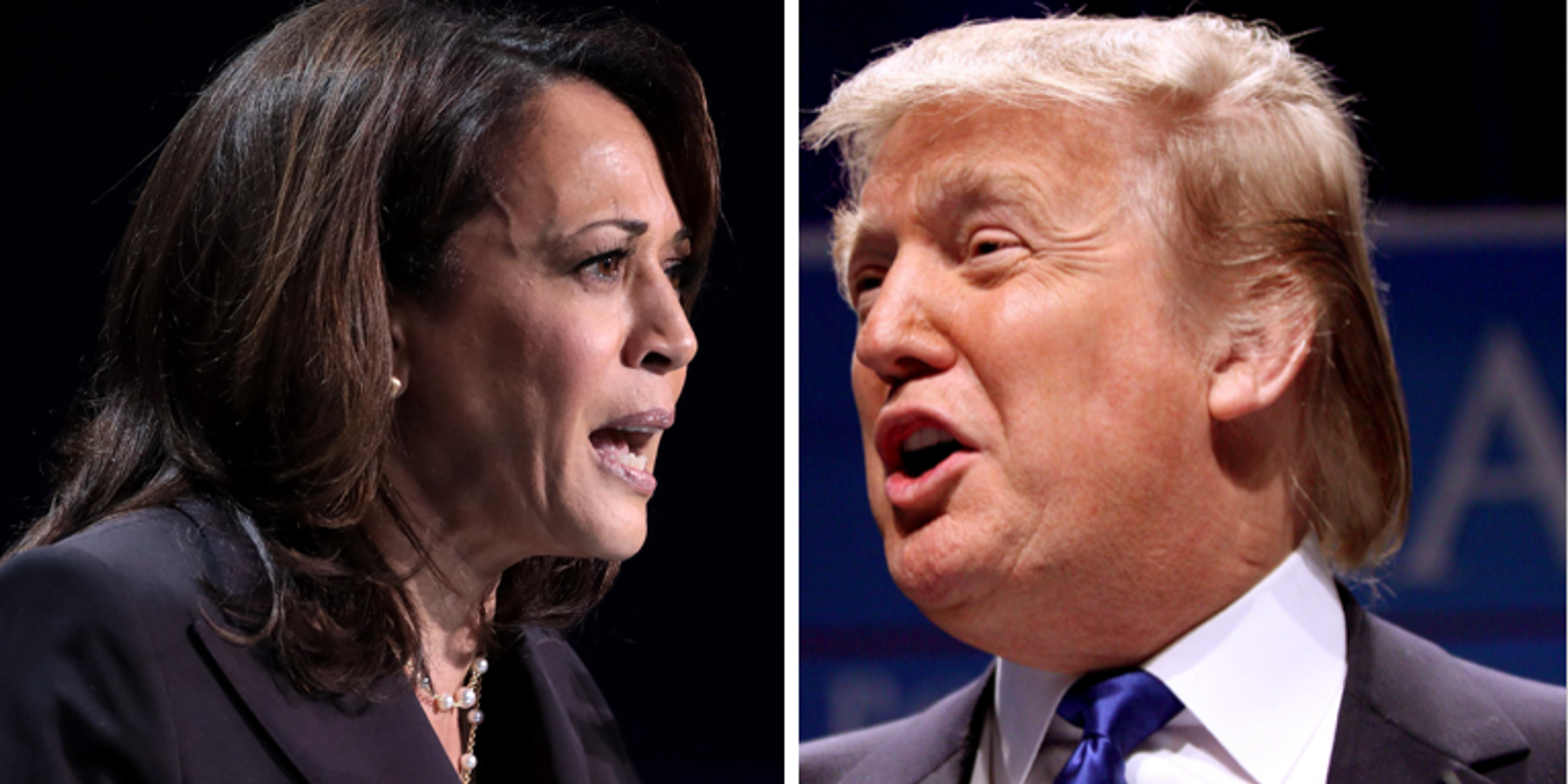 Ukraine War well beyond Trump-Harris election