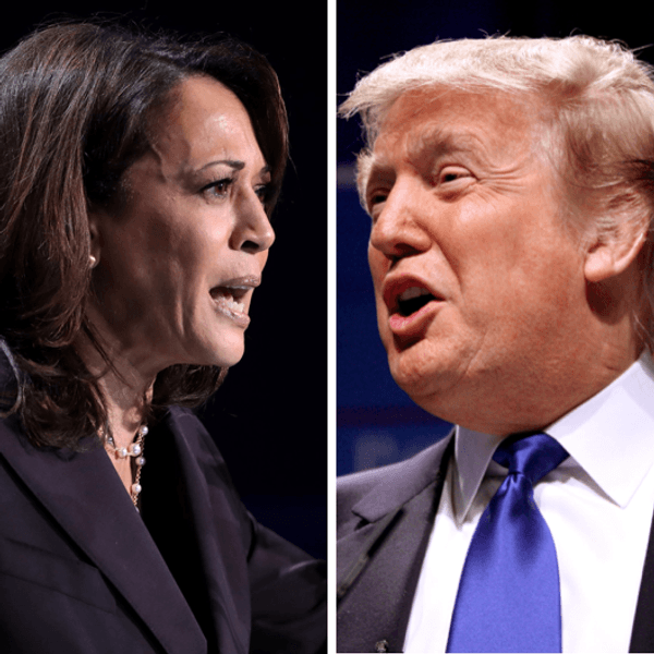 Ukraine War well beyond Trump-Harris election