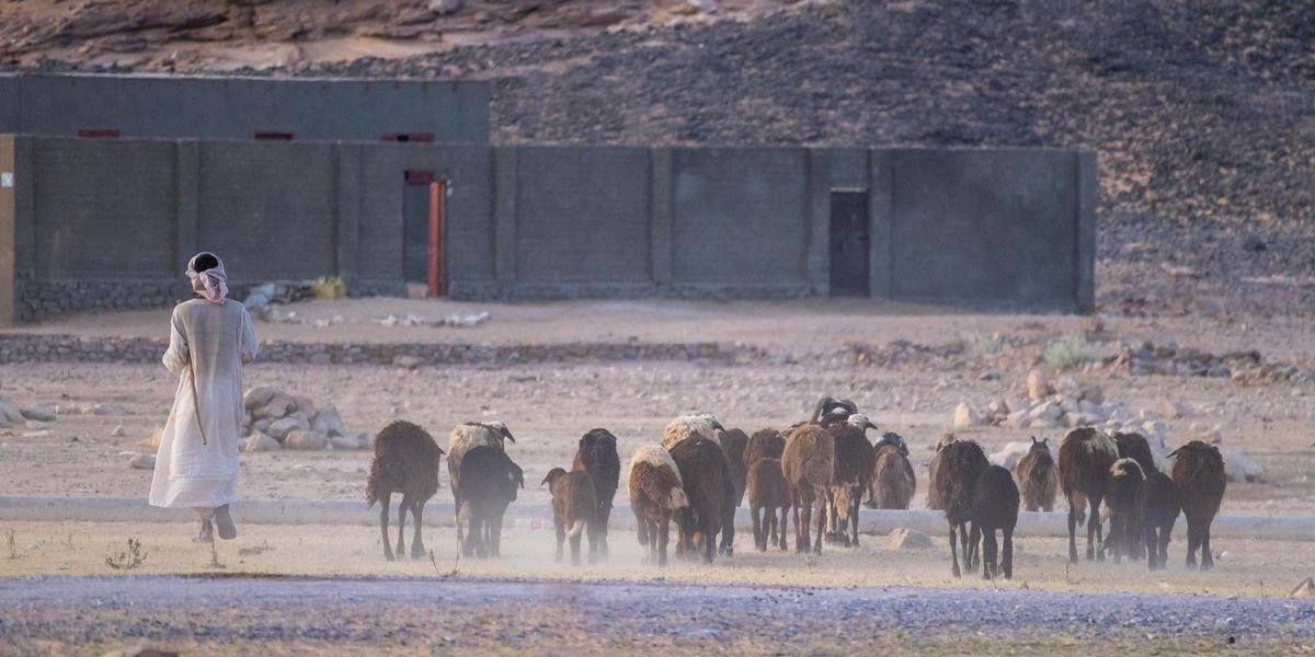 The Embarrassment of Discovering Hidden Israeli Bases in Iraq The Embarrassment of Discovering Hidden Israeli Bases in Iraq