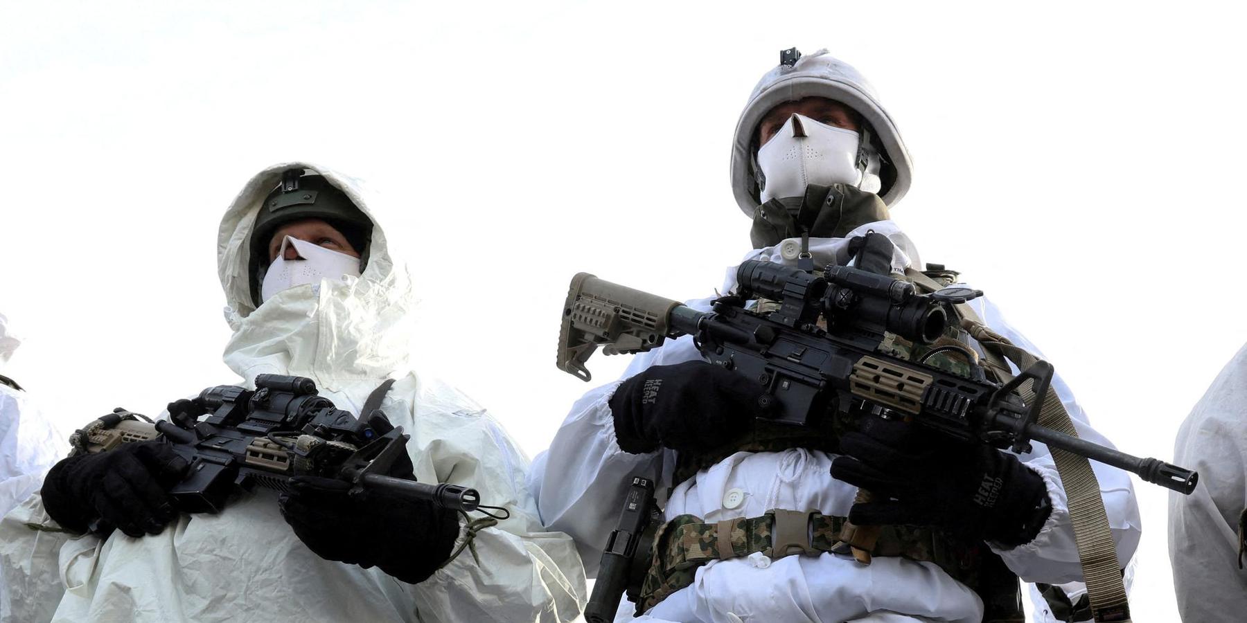 NATO Arctic