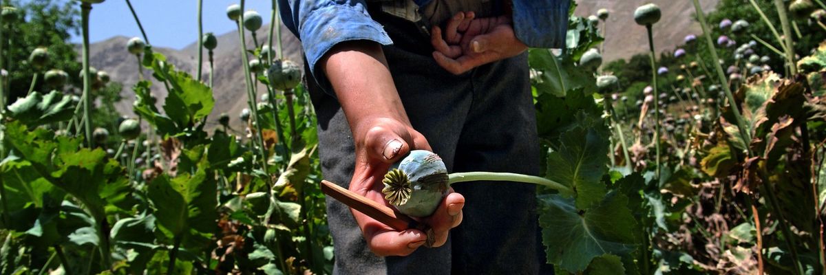 What’s next for the heroin trade in Afghanistan?