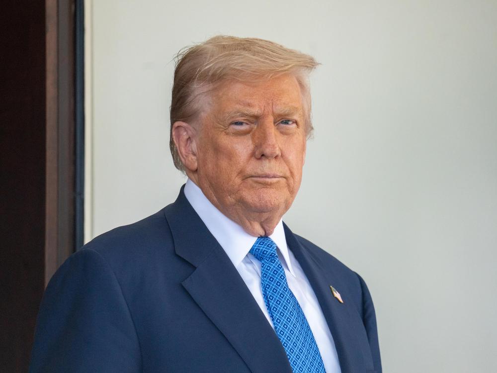 President Donald Trump pictured at the White House