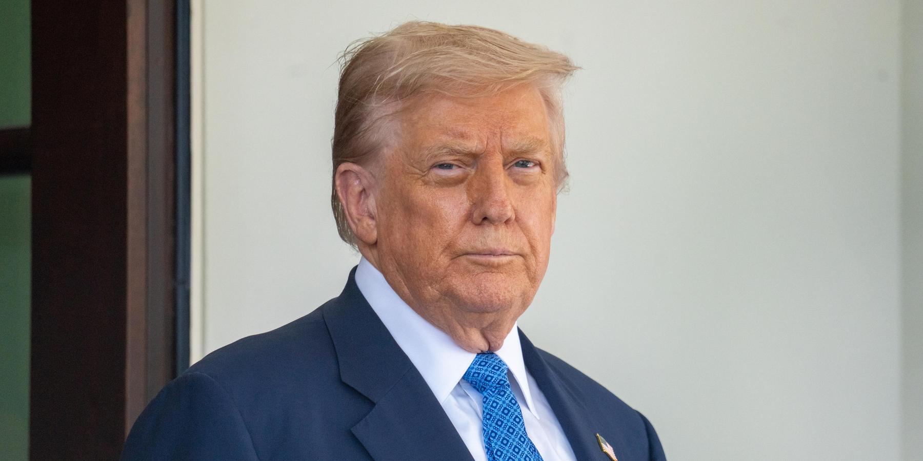 President Donald Trump pictured at the White House