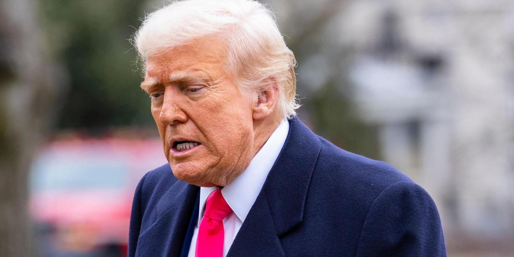 President Donald Trump