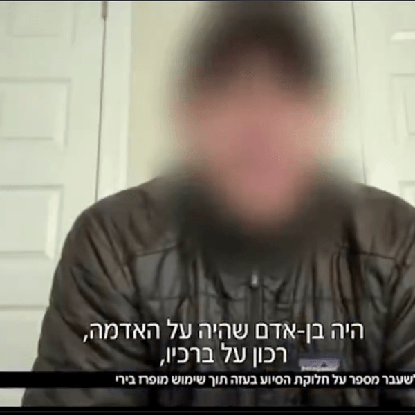 private contractors gaza