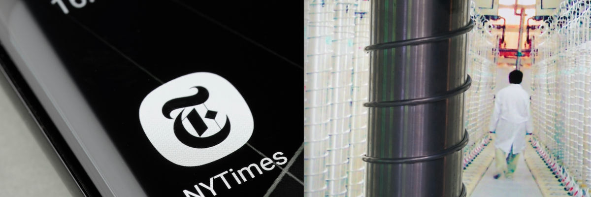 Screen-shot-2020-11-19-at-10.08.37-am