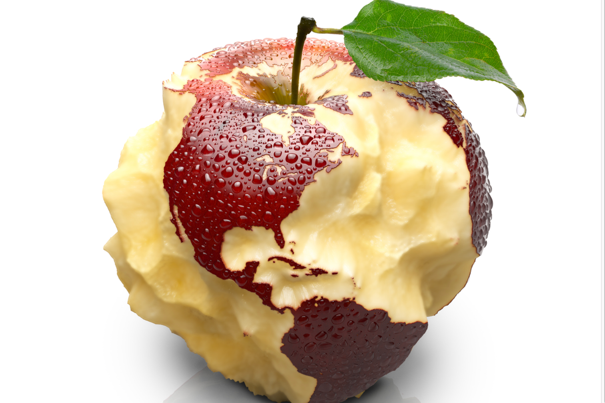 Screen-shot-2022-06-03-at-1.21.56-pm