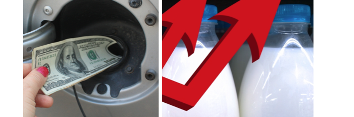 Screen-shot-2022-07-25-at-5.09.00-pm