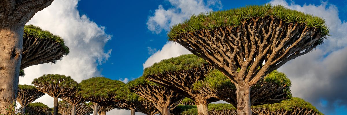 Shutterstock_2082946732