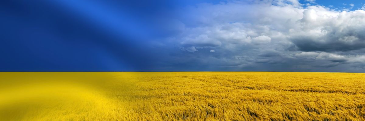 Shutterstock_2133065873-scaled