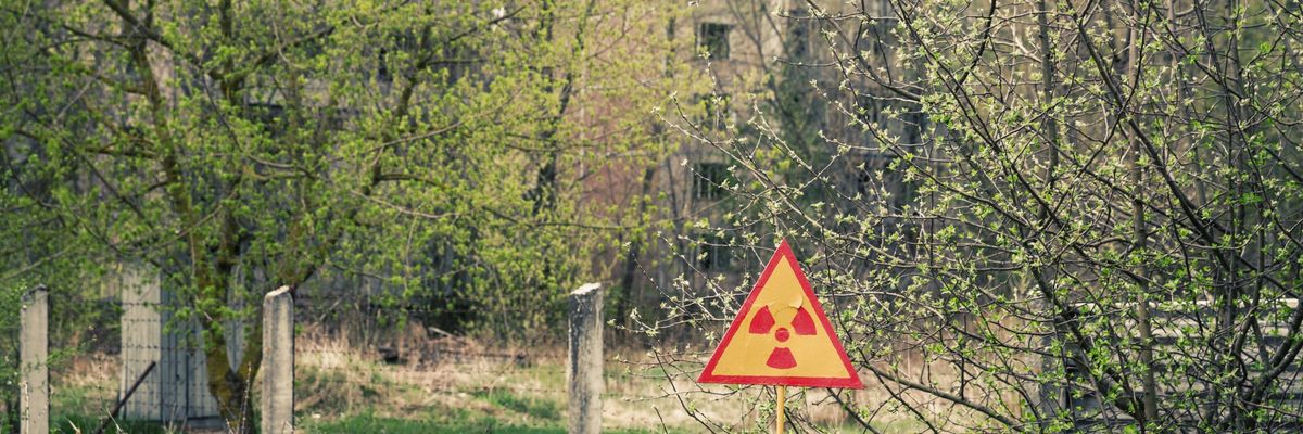 Shutterstock_273153272-scaled