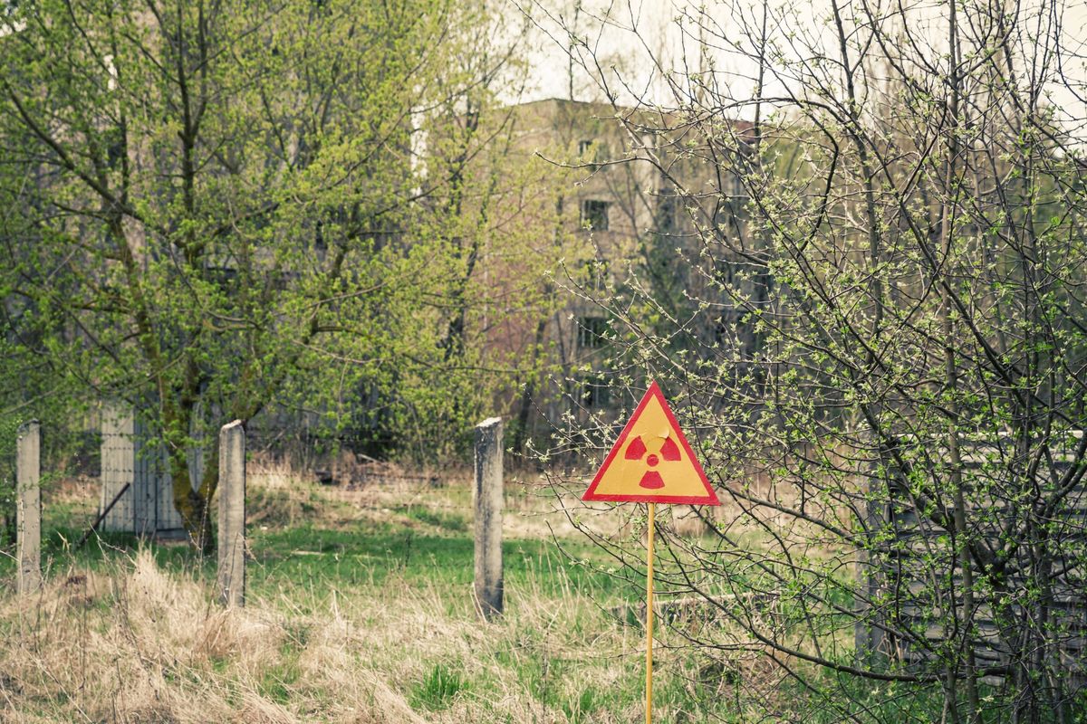 Shutterstock_273153272-scaled