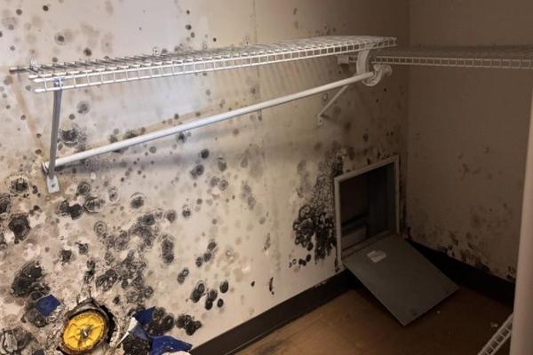 Suspected mold in barracks at Naval Station Norfolk in Norfolk, Virginia