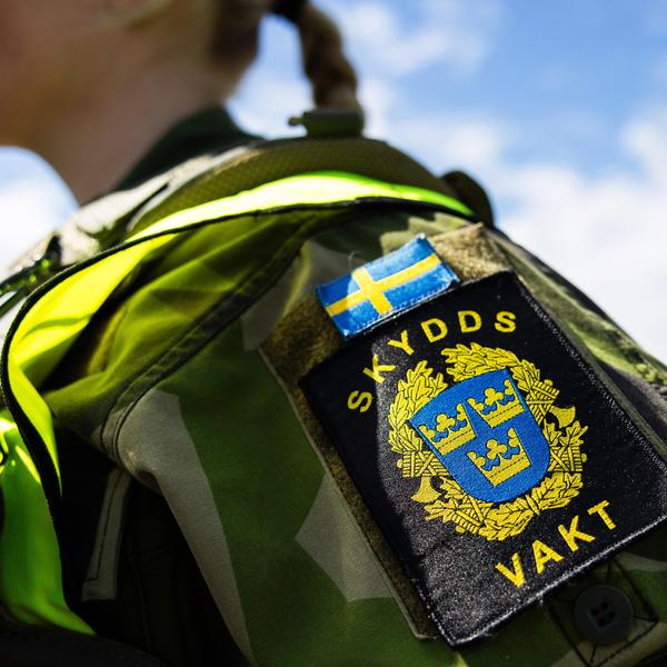 Swedish military Greenland