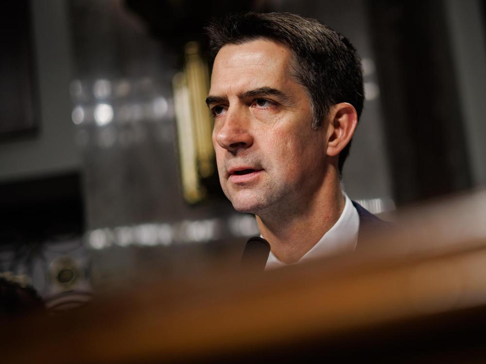Tom Cotton