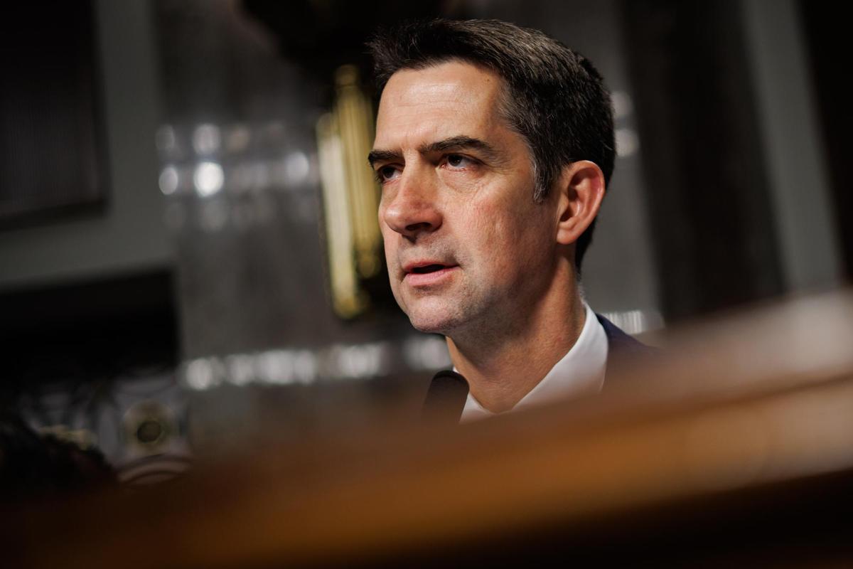 Tom Cotton
