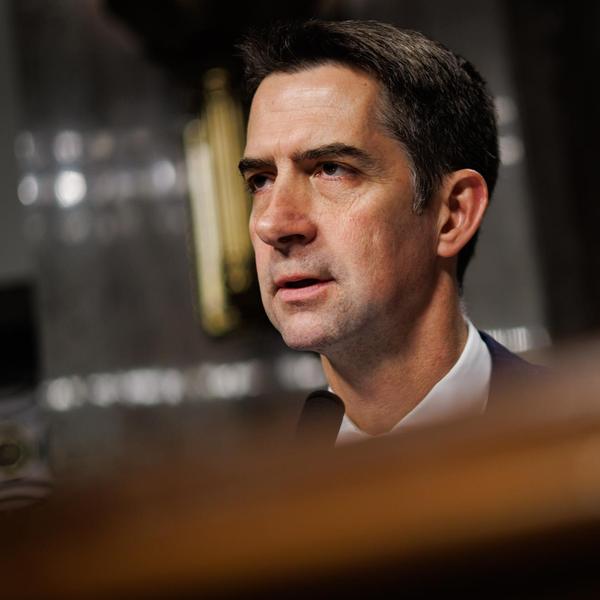 Tom Cotton
