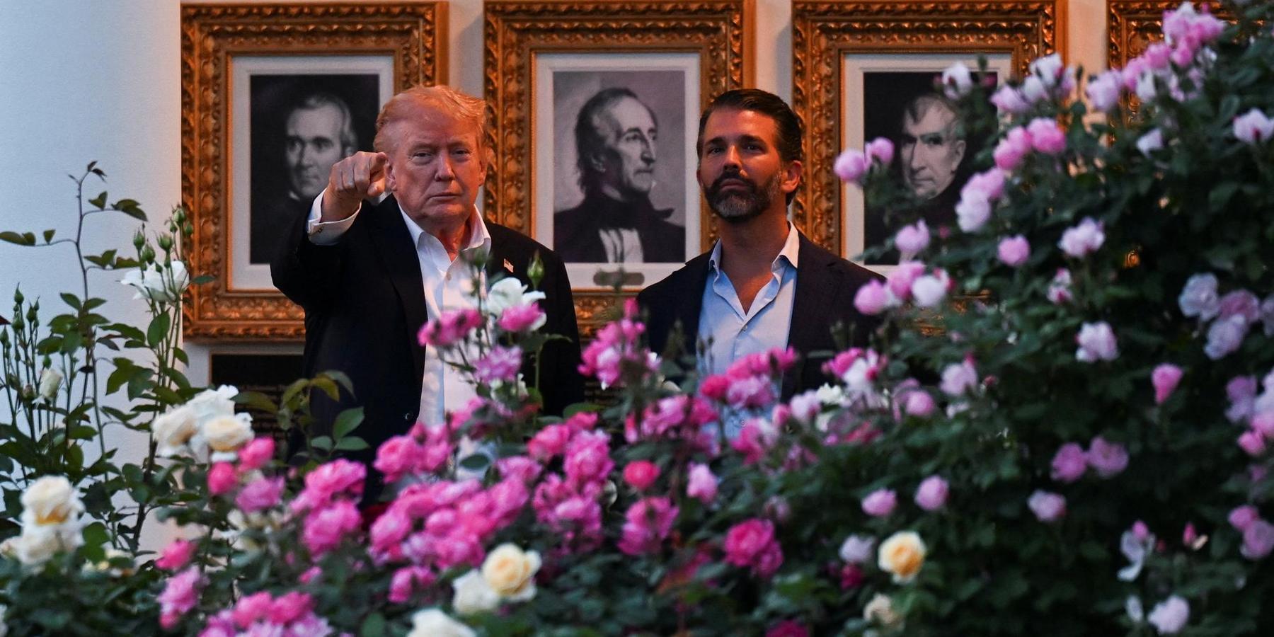Trump White House rose garden