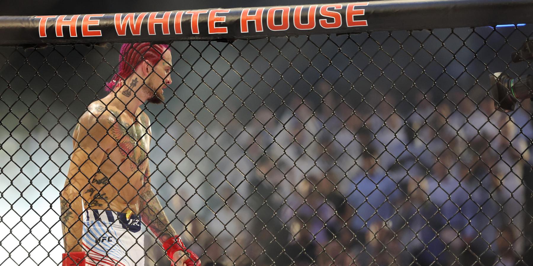 UFC white house